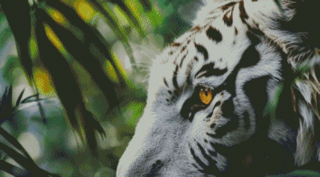 White Tiger © 90x50