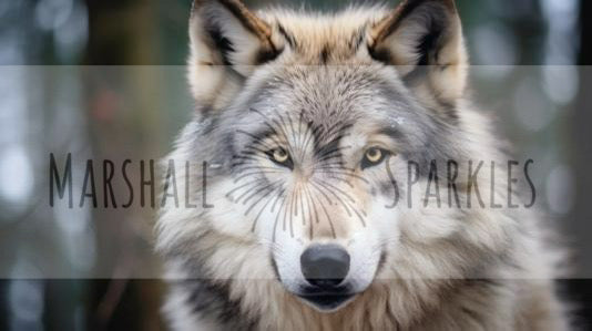 Wolf © 90x50