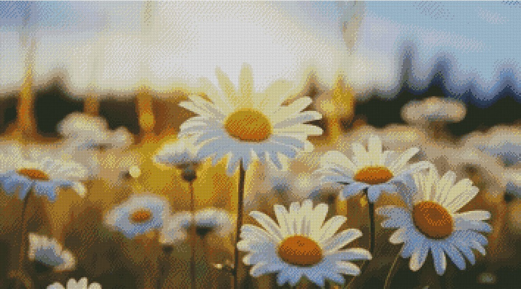 Daisies © 90x50