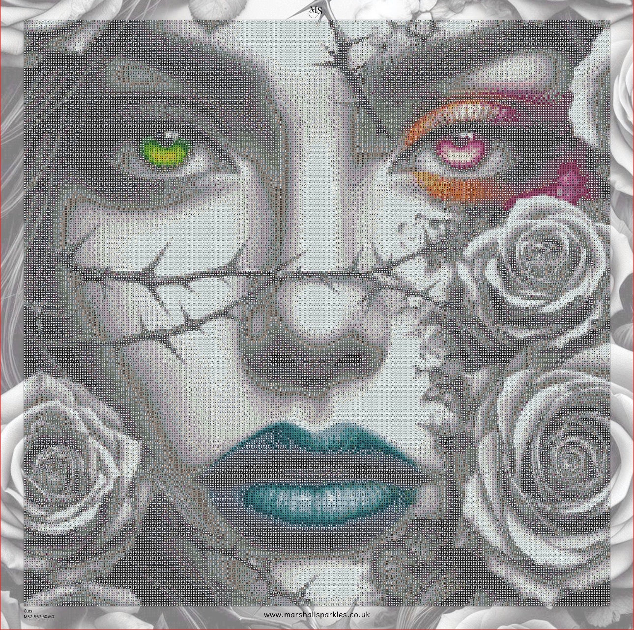 Cuts © 60x60