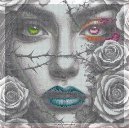 Cuts © 60x60