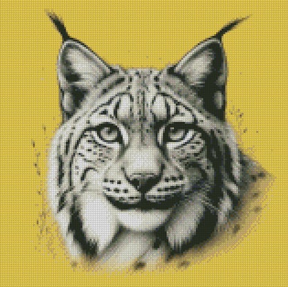 Lynx © 40x40 (print to order)