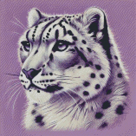 Leopard © 40x40 (print to order)