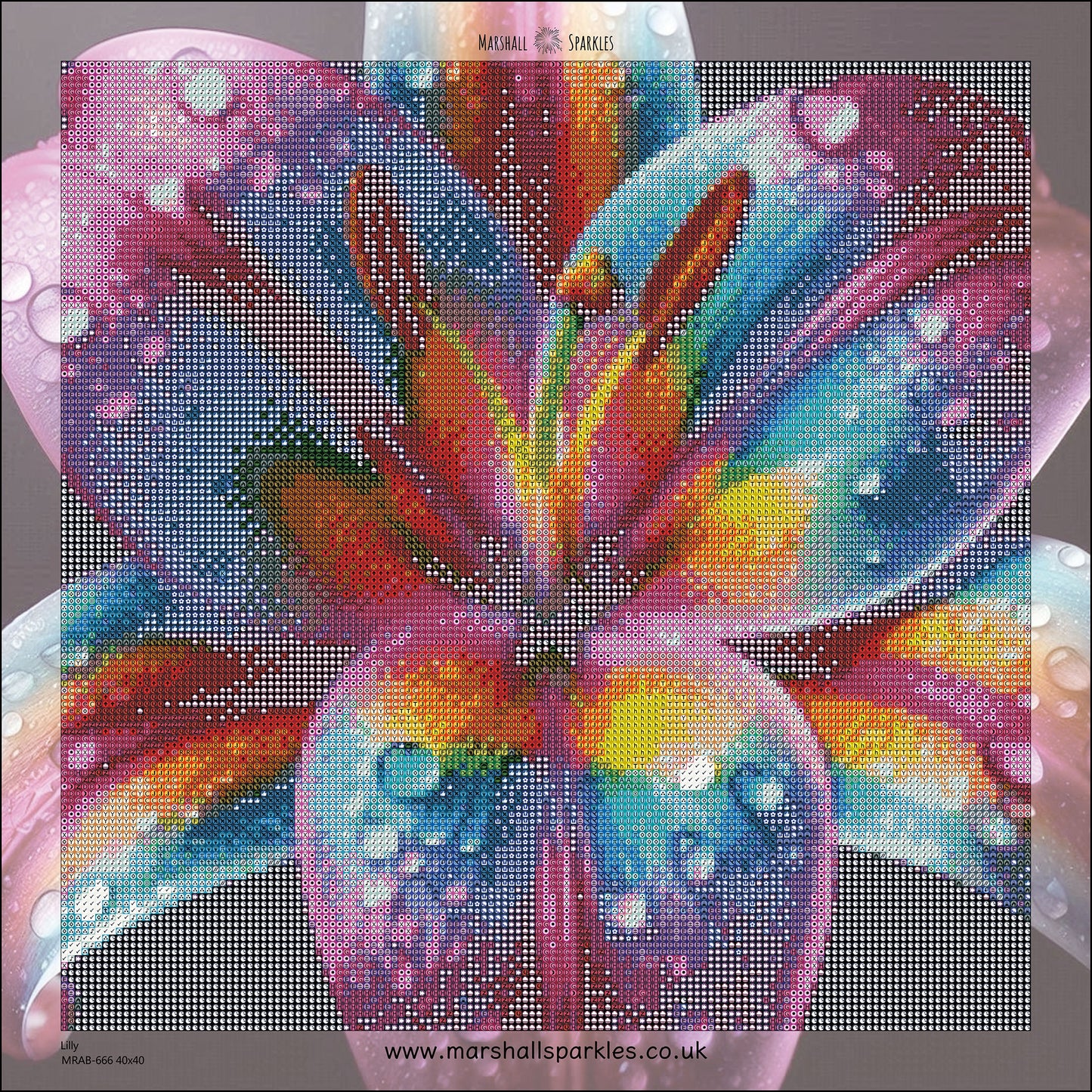 May Lilly © 40x40 Round Ab Drills