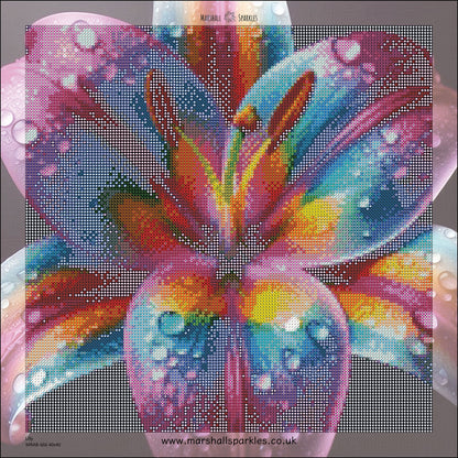 May Lilly © 40x40 Round Ab Drills