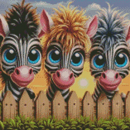 Over the Fence - Zebras © 40x40 (print to order)