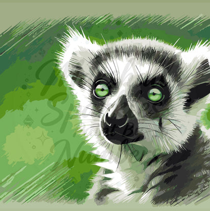 Lemur MS019 © 40x40