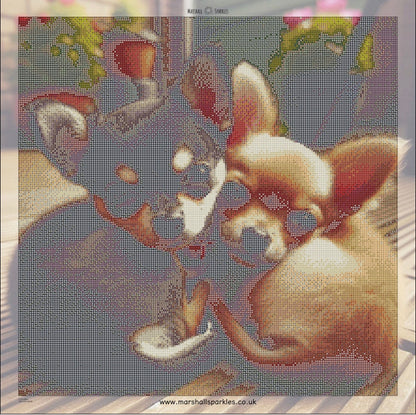 Chihuahua ©  50x50 (print to order)