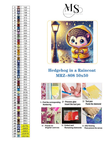 Hedgehog in a Raincoat © 50x50