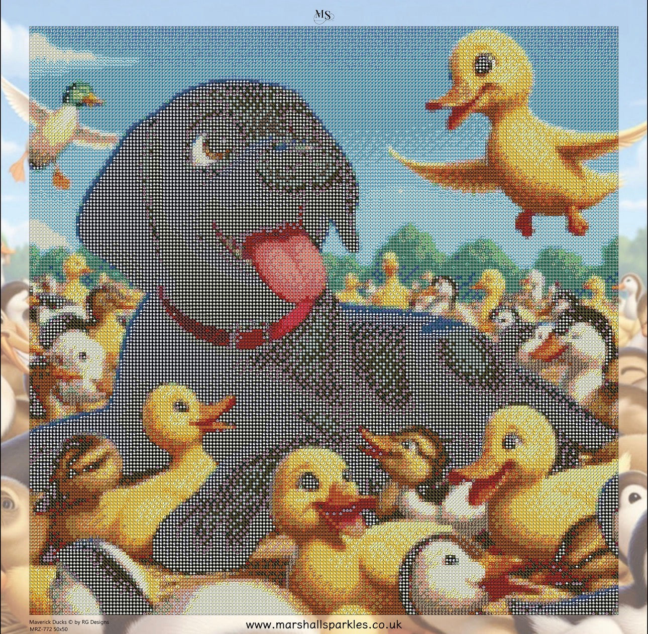 Maverick Ducks © by RG Designs 50x50 (print to order)