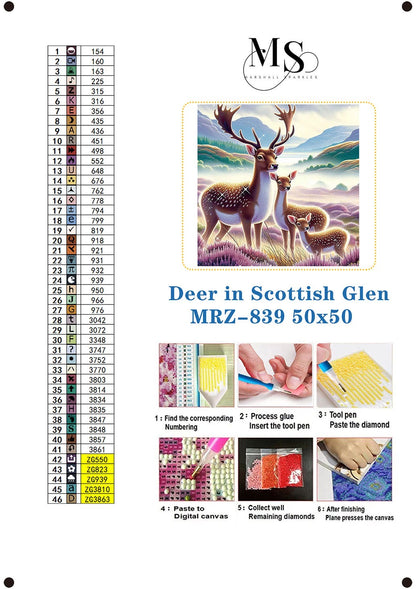 Deer in Scottish Glen © 50x50