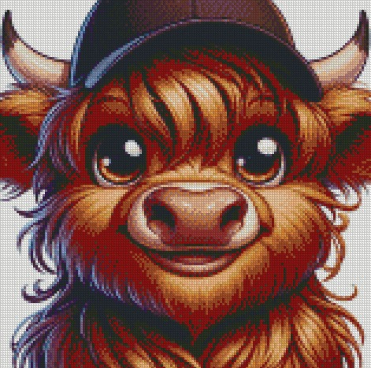 Cap Crew - Highland Cow © 40x40 - (print to order)
