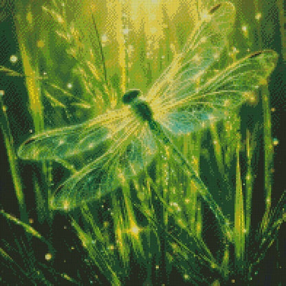 August\Peridot - Dragonfly © 50x50