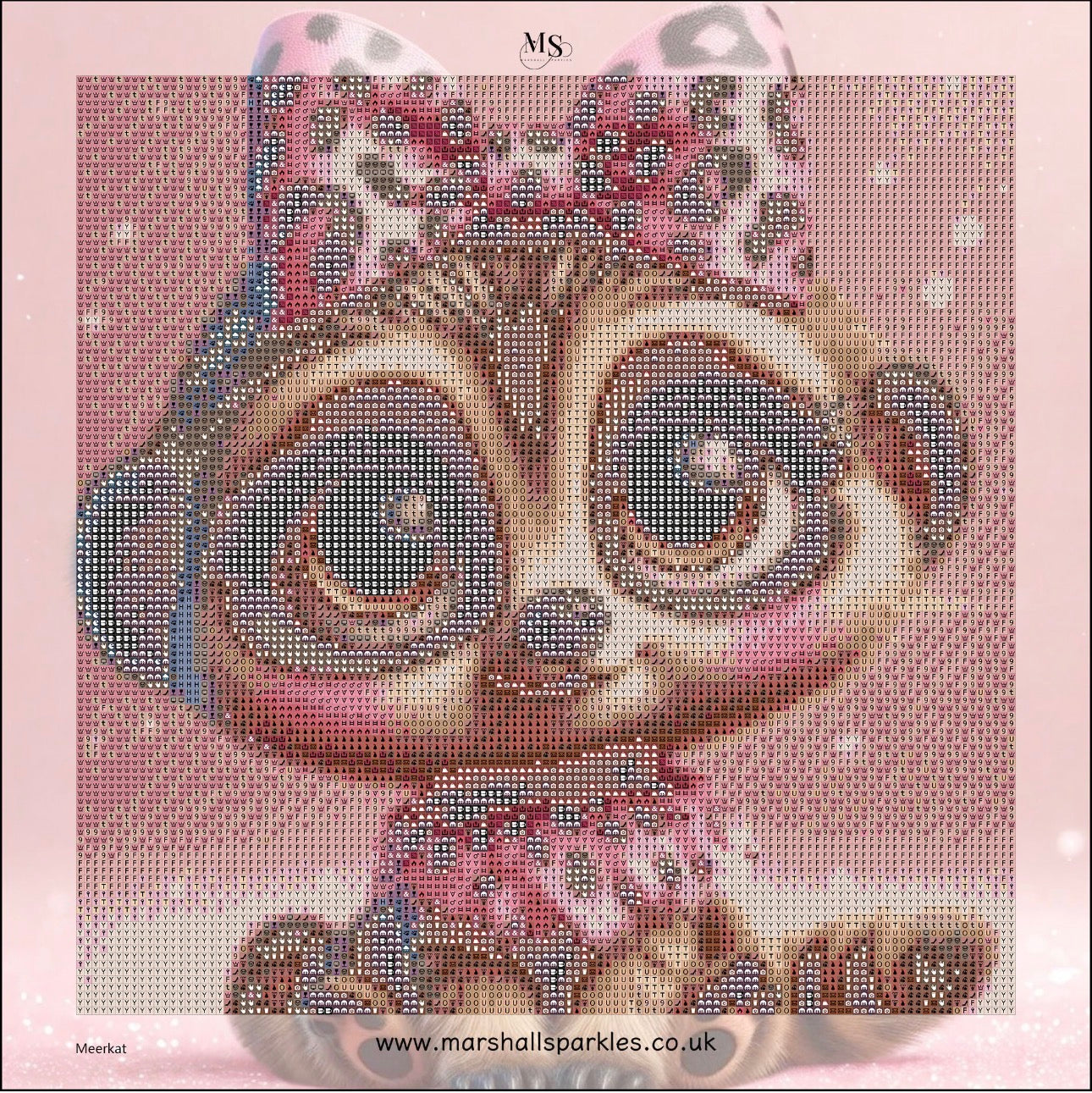 Bow Bonaza © 30x30 (20 Paintings plus a free canvas)