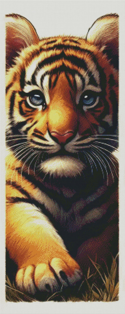 CS - Tiger Cub 40x100