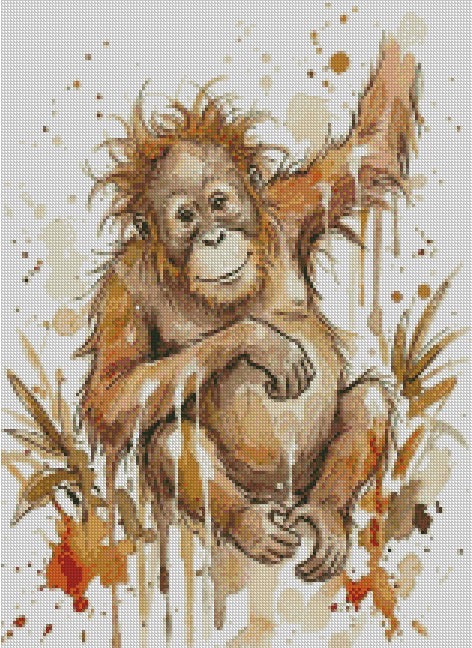 Orangutan © 40x55 - (print to order)