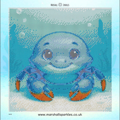 12 Months of Ocean © by Overton Designs 30x30 (PTO)