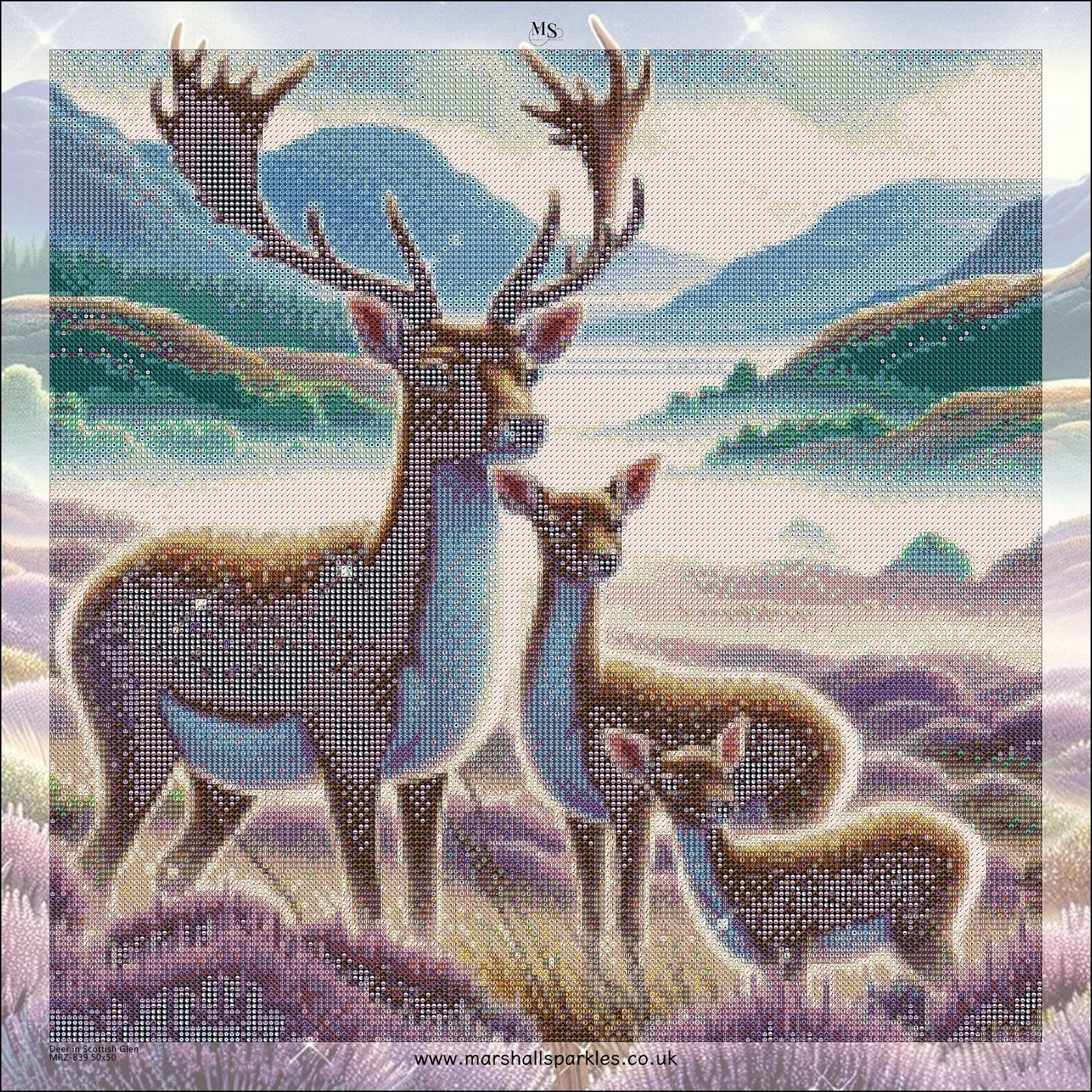 Deer in Scottish Glen © 50x50