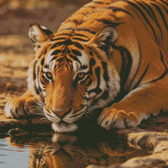 Tiger at the Watering Hole © 60x60