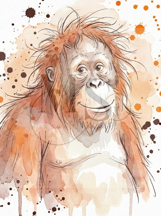 Orangutan © 40x55 - (print to order)