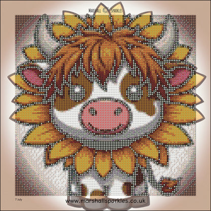 12 Months of Highland Cows © 30x30 free birthday canvas
