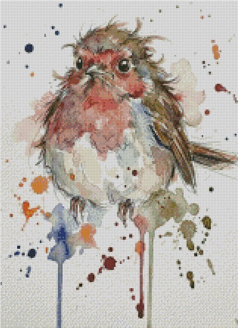 Robin © 40x55 - (print to order)