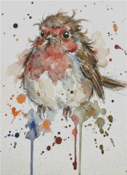 Robin © 40x55 - (print to order)