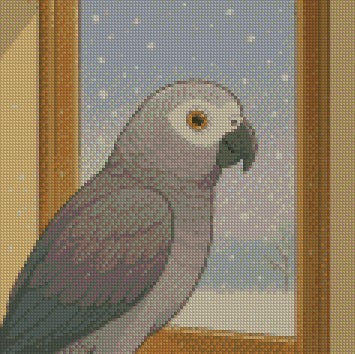 12 Months of Parrot © 30x30 by Katie Mayo-Jackson