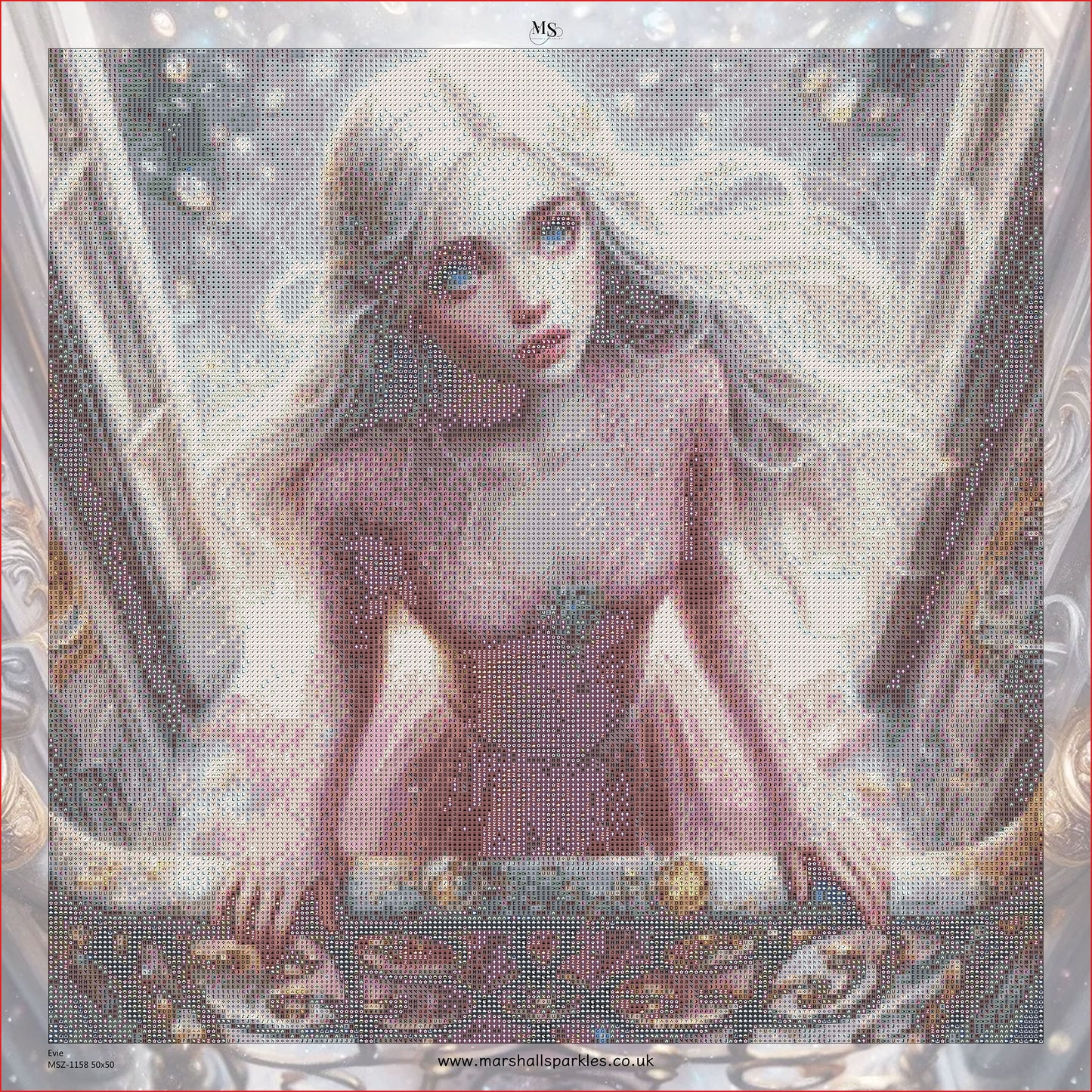 Evie © 50x50