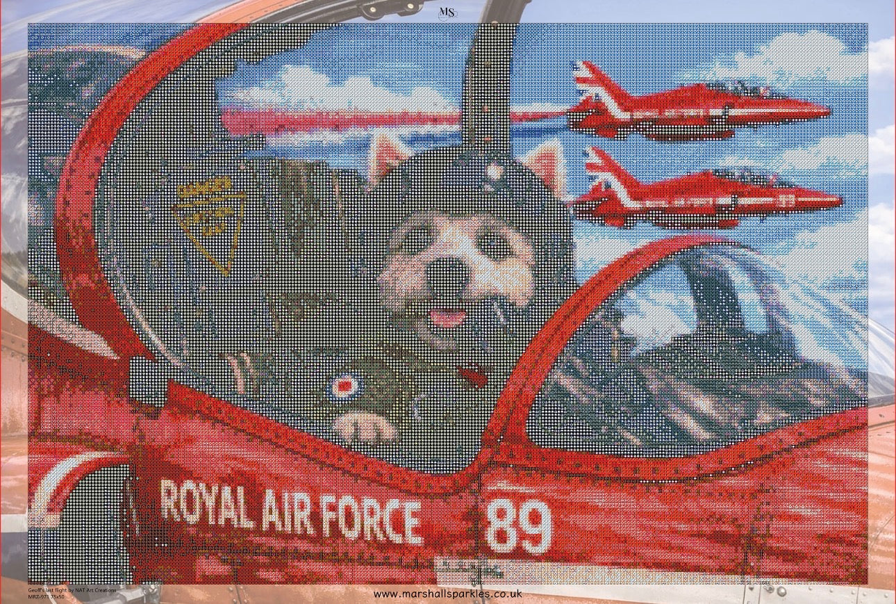 Geoff’s last flight © 75x50 by NAT Art Creations