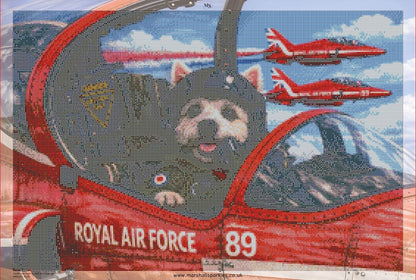 Geoff’s last flight © 75x50 by NAT Art Creations