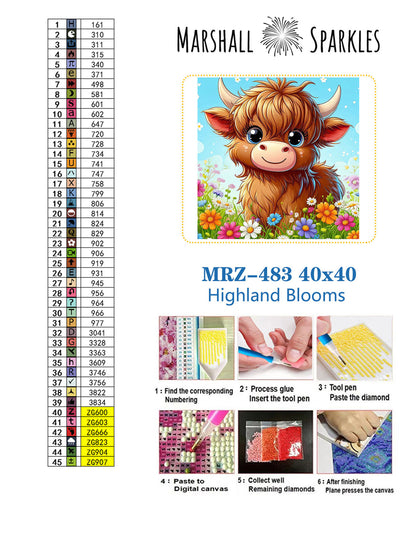 Highland Blooms © 40x40 Round Fairy Drill