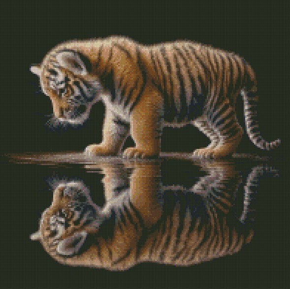 Reflections Collection © 40x40