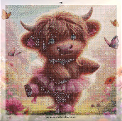 Highland Ballet © 50x50