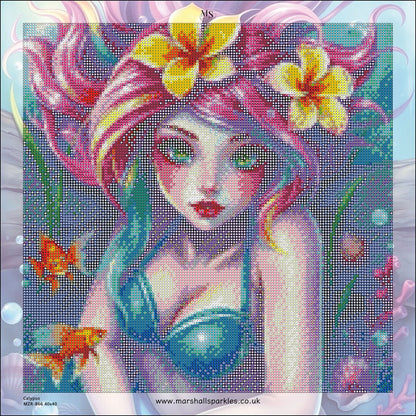 Calypso © 40x40 full fairy drill
