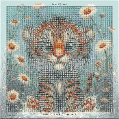 Daisy Collection - Tiger © 40x40