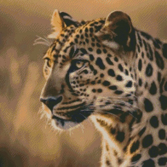 Leopard © 50x50 (print to order)