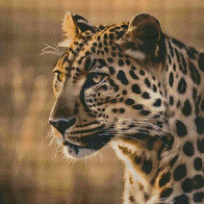 Leopard © 50x50 (print to order)