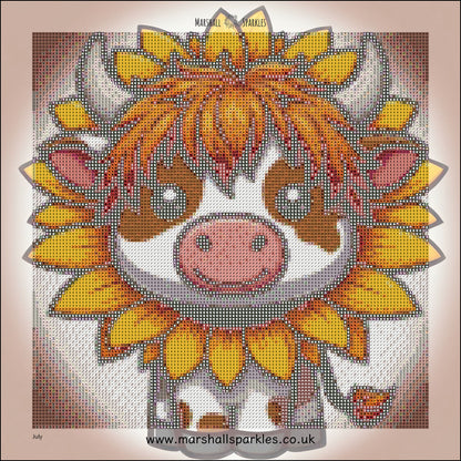 12 Months of Highland Cows © 30x30 free birthday canvas
