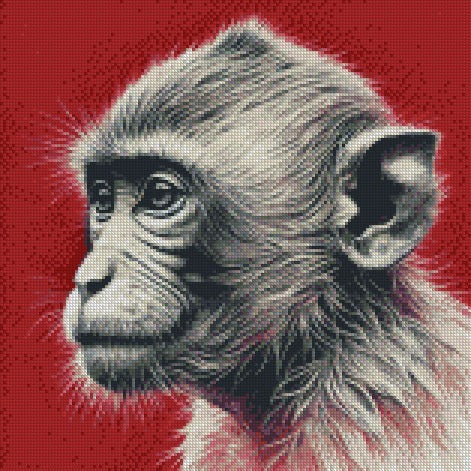 Monkey © 40x40 (print to order)