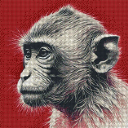 Monkey © 40x40 (print to order)