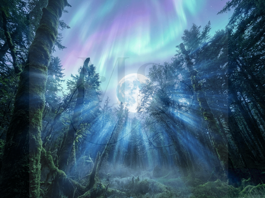 Moon Aurora © 60x45