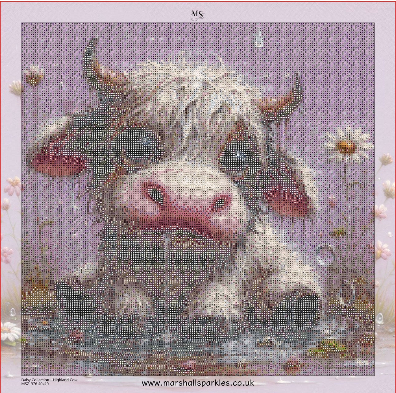 Daisy Collection - Highland Cow © 40x40