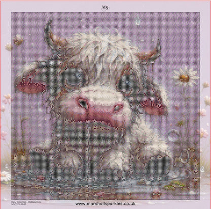 Daisy Collection - Highland Cow © 40x40