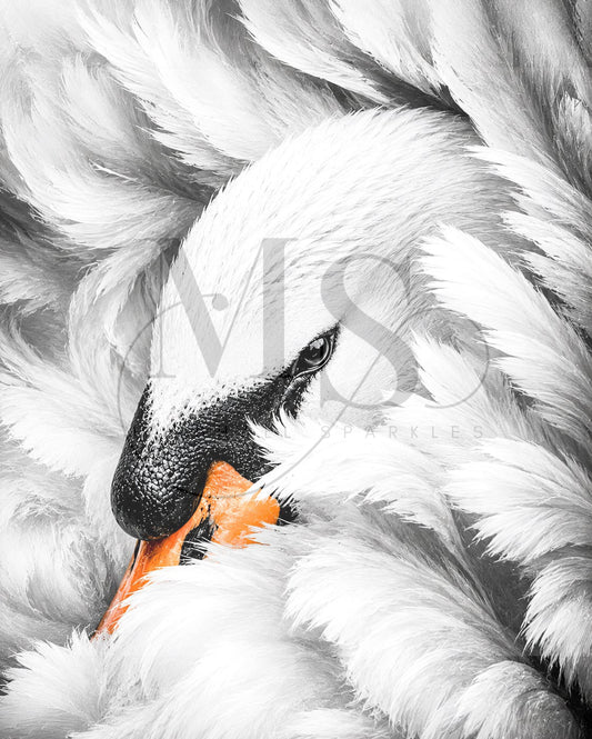 Feathered White Elegance © 50x60 by KT Designs