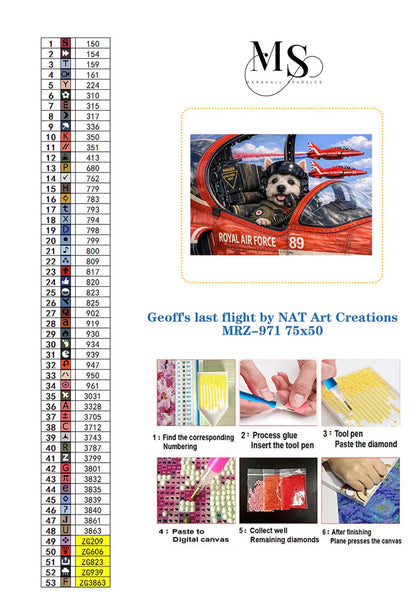 Geoff’s last flight © 75x50 by NAT Art Creations