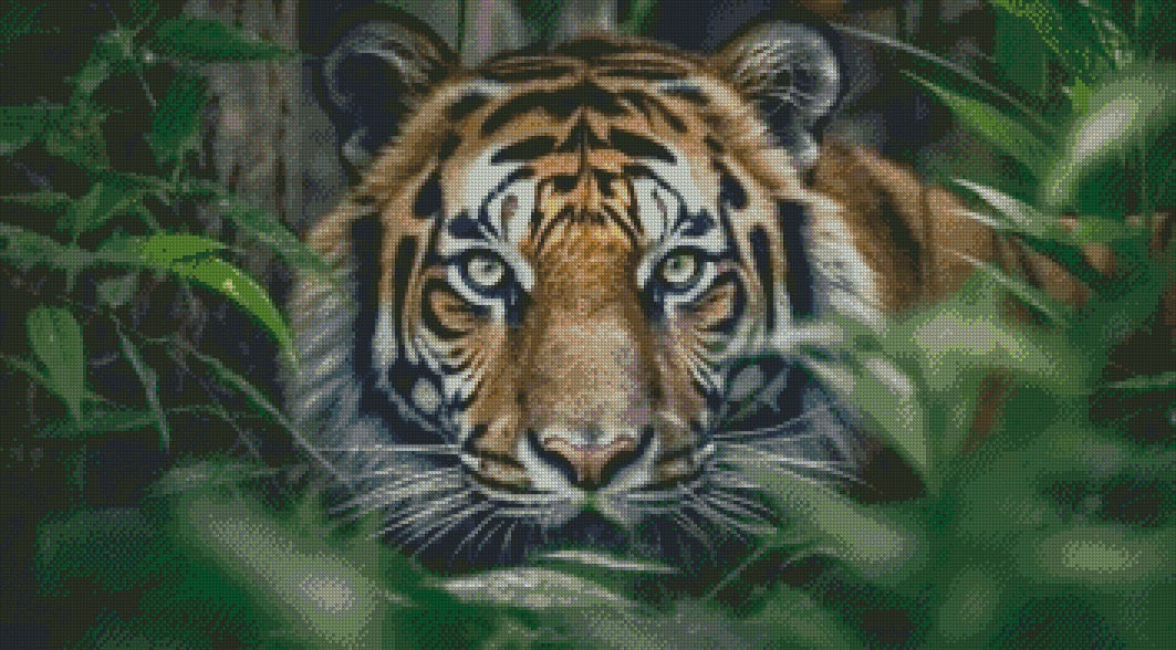 Tiger © 90x50