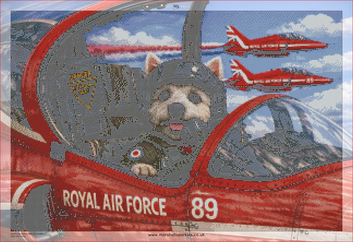 Geoff’s last flight © 75x50 by NAT Art Creations