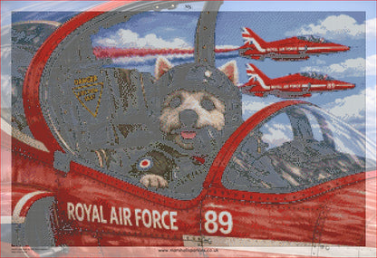 Geoff’s last flight © 75x50 by NAT Art Creations