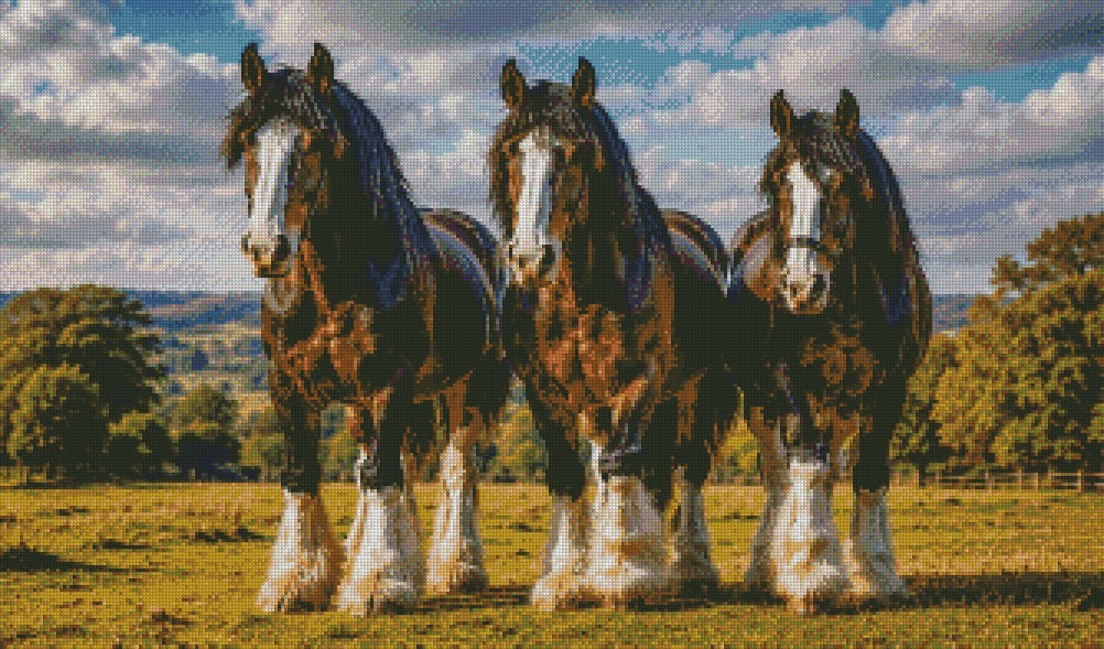 Pride of the Pasture © 50x85 by KT Designs